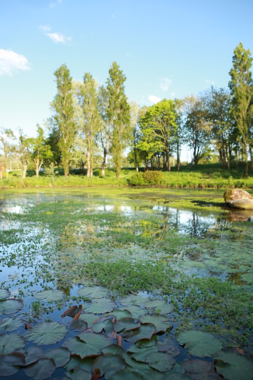 PAYS D’IROISE COMMUNAUTÉ