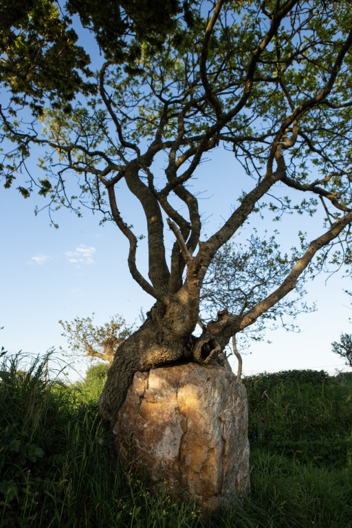 TRANSITION ÉCOLOGIQUE ET ÉNERGÉTIQUE